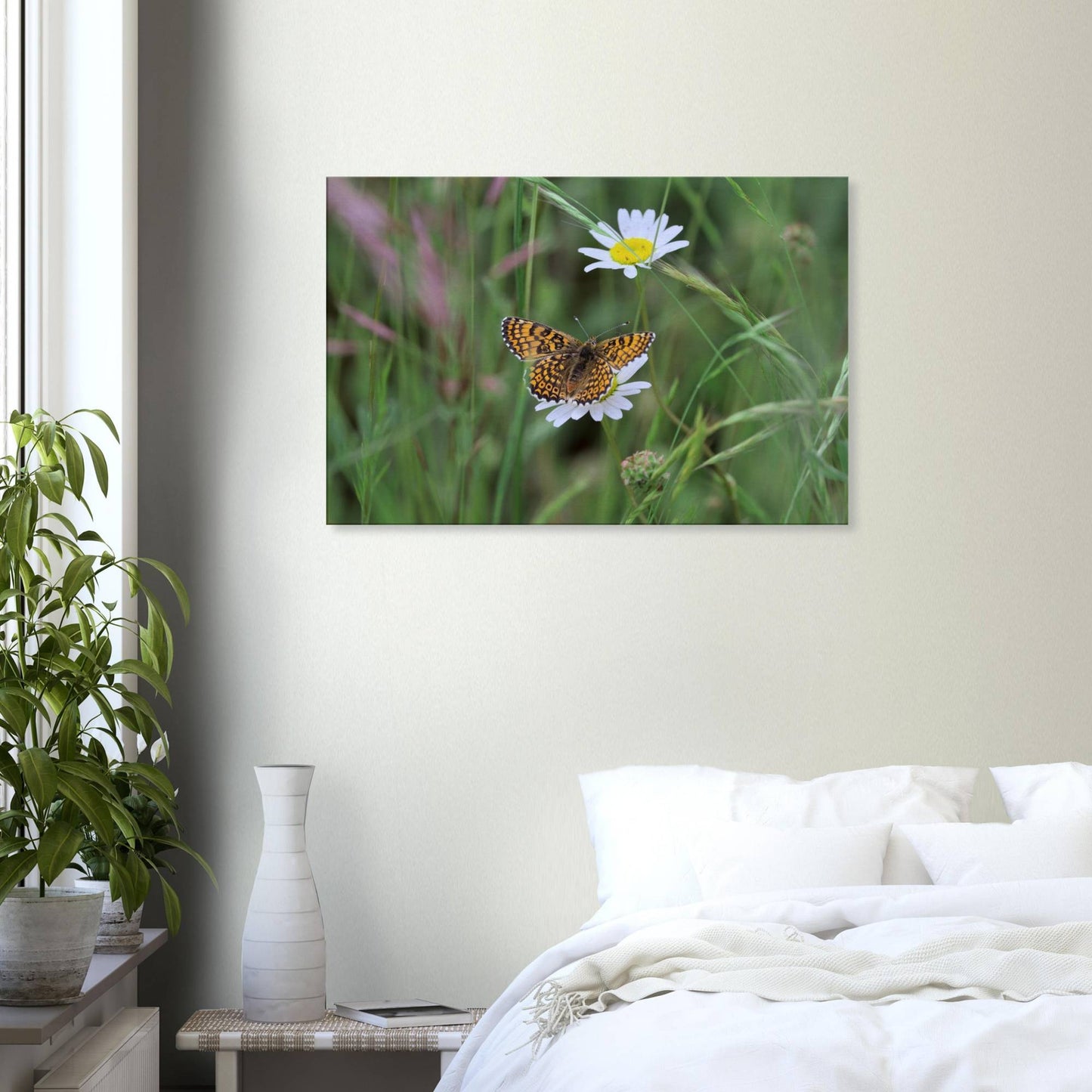 Orange Butterfly on a Daisy