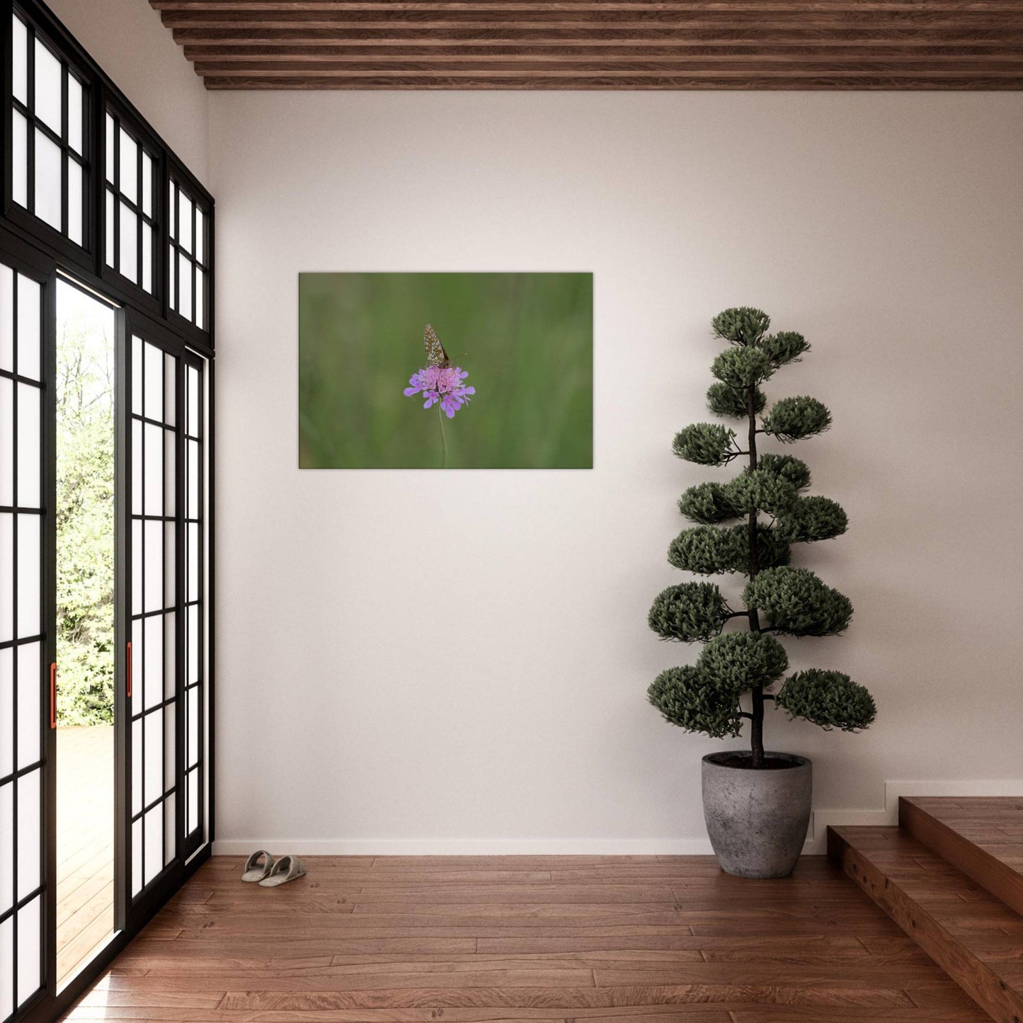 The Resting Butterfly
