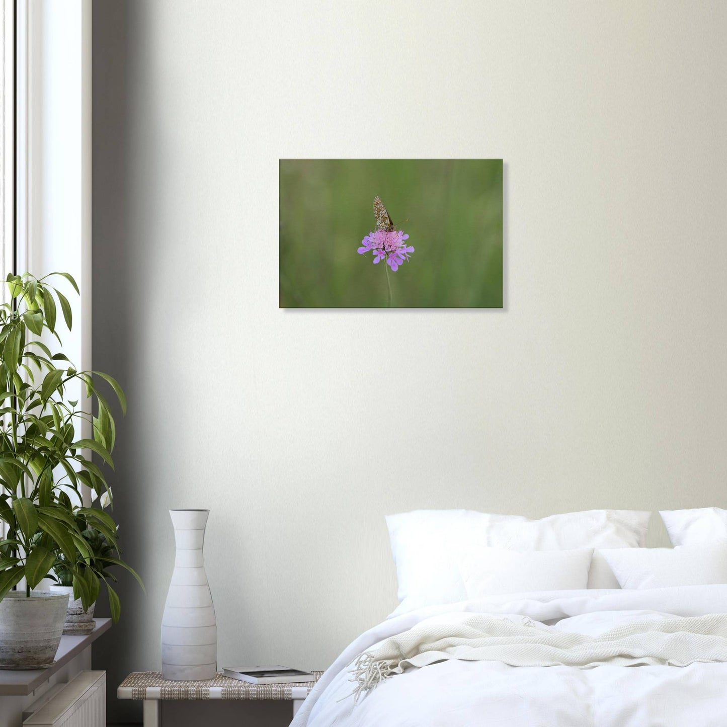 The Resting Butterfly