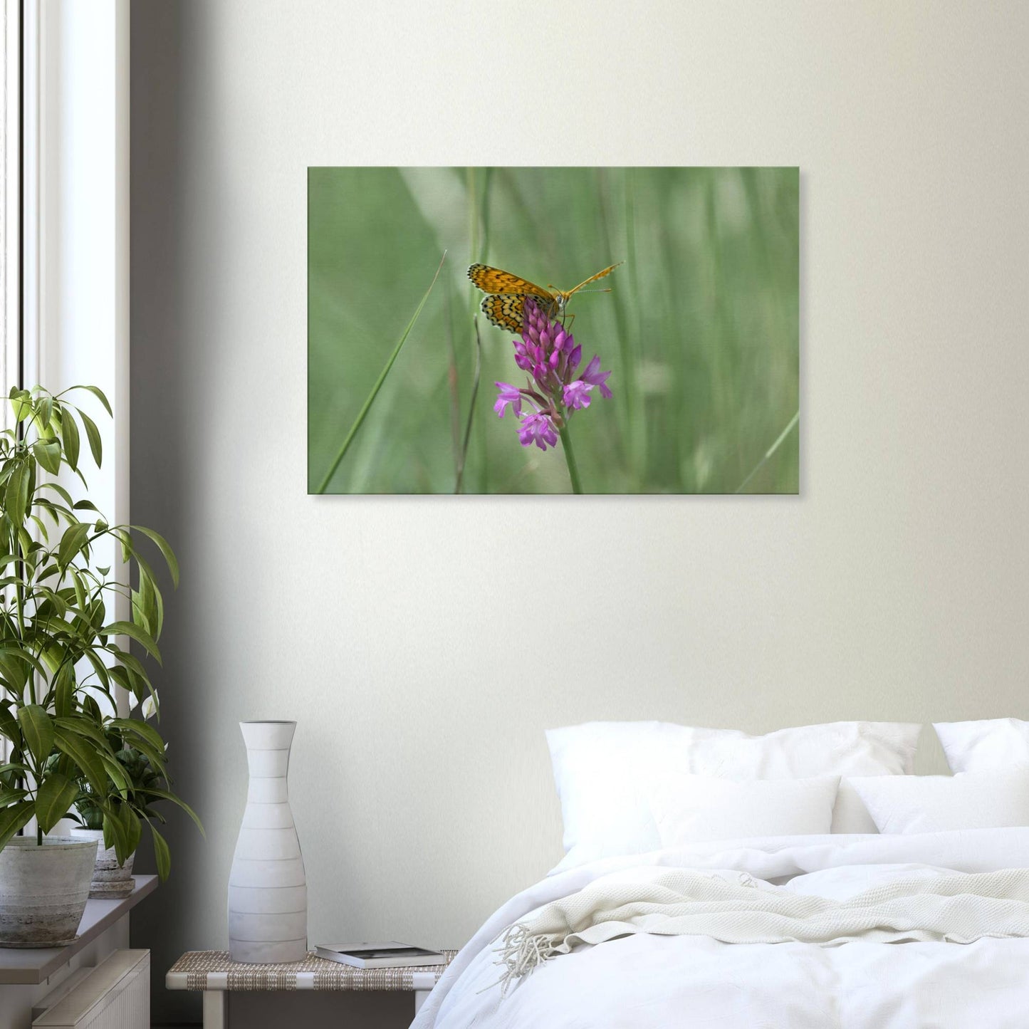 Peeking Butterfly