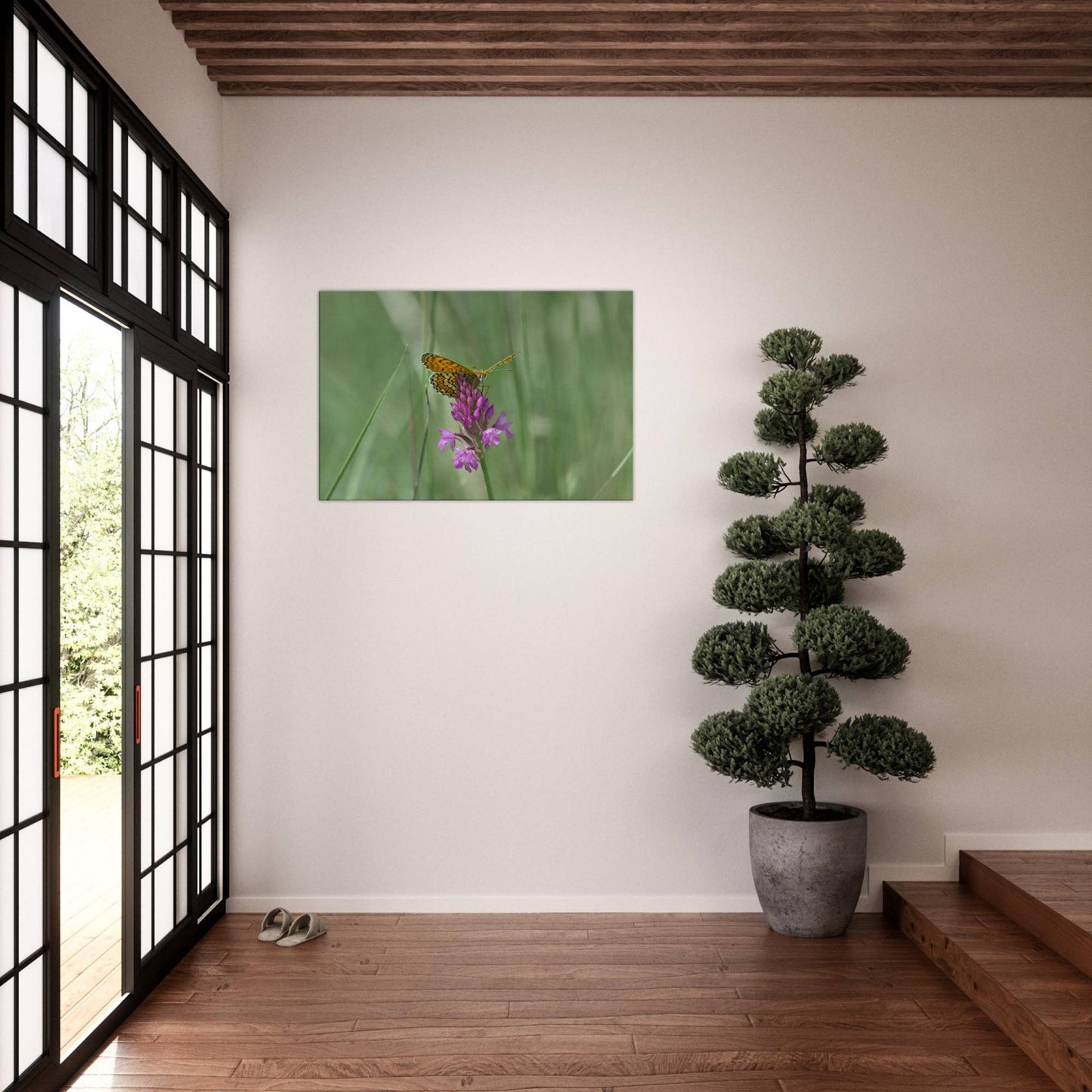 Peeking Butterfly