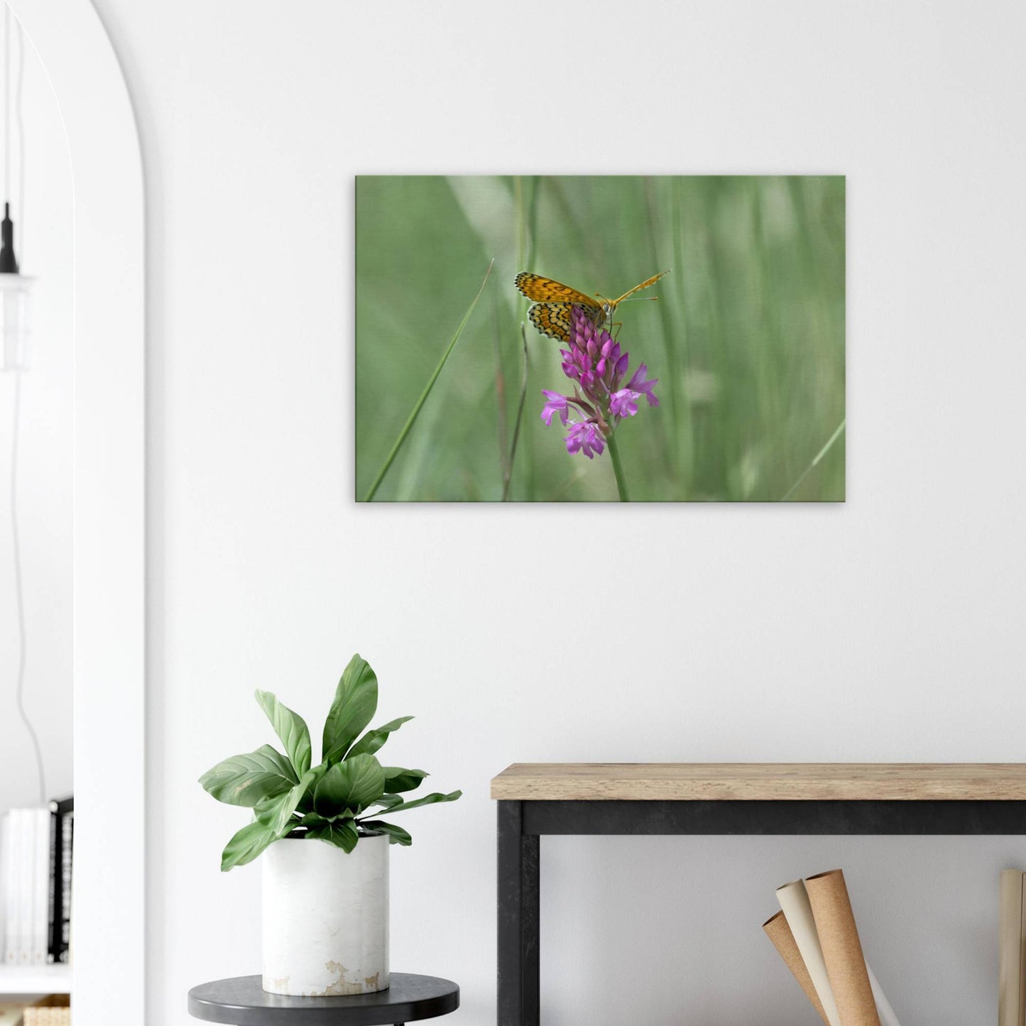 Peeking Butterfly