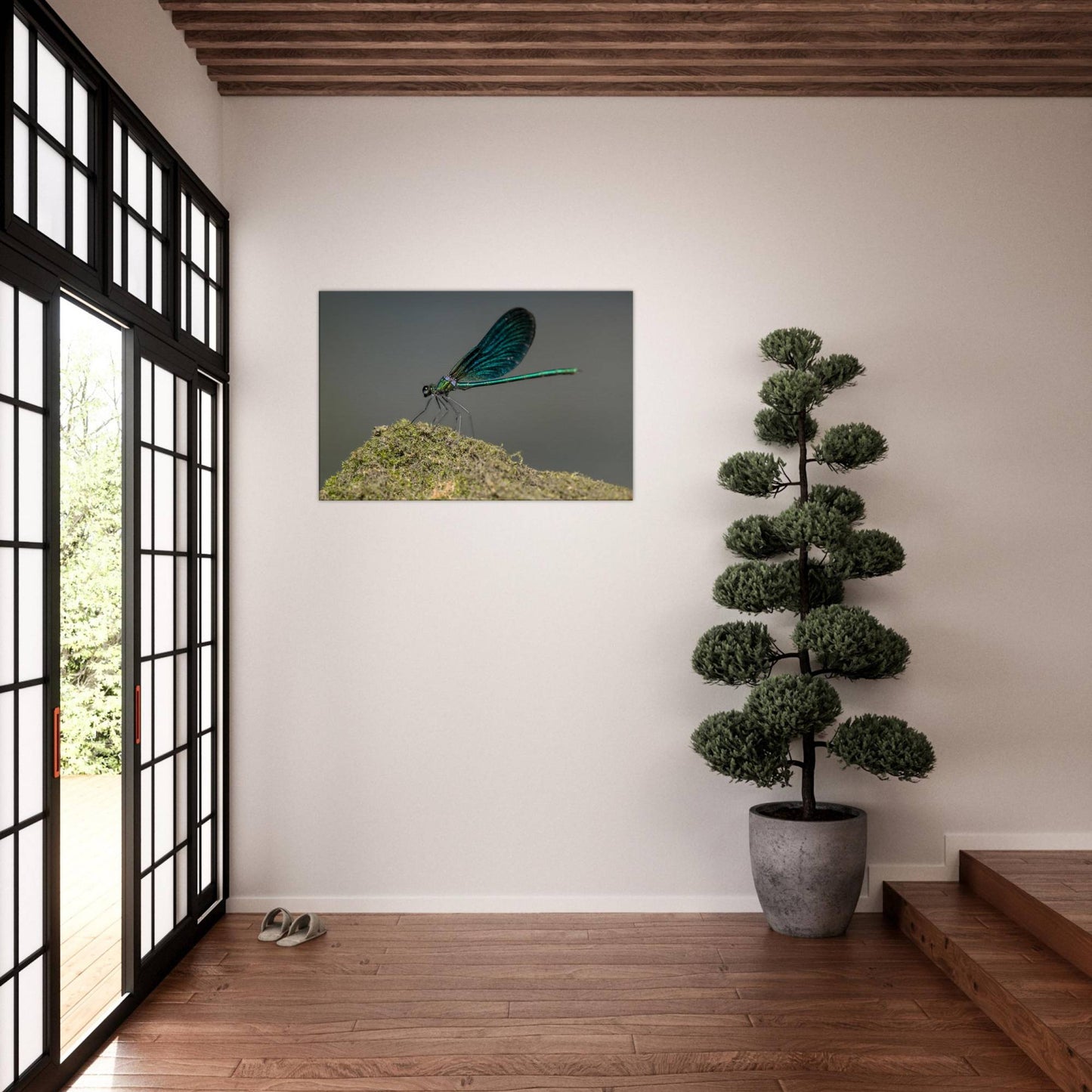 Portrait of a Damselfly