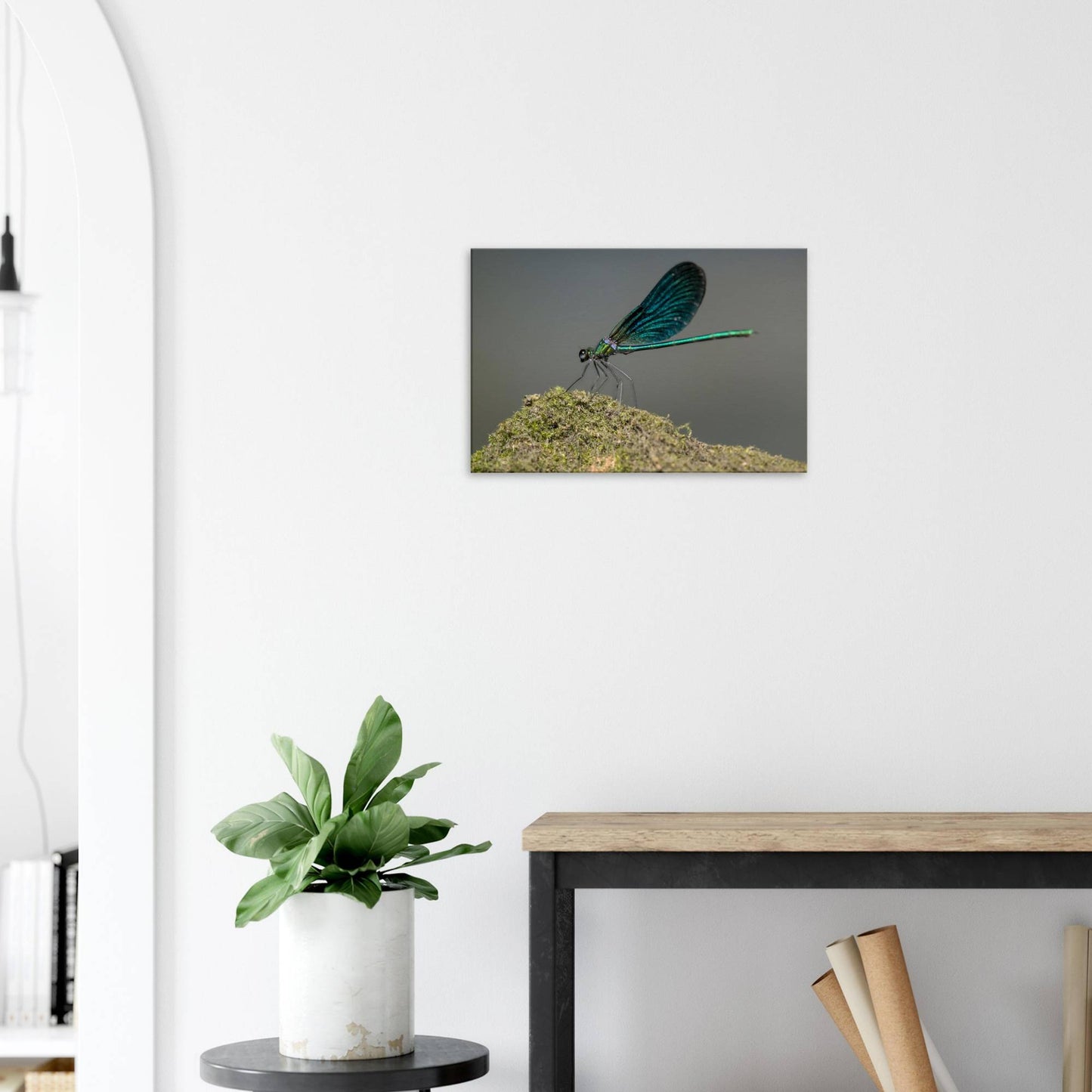 Portrait of a Damselfly