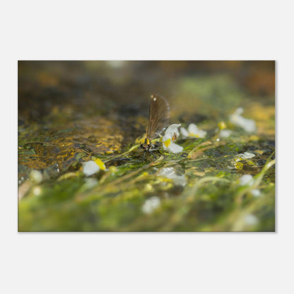 Flowing with the Water