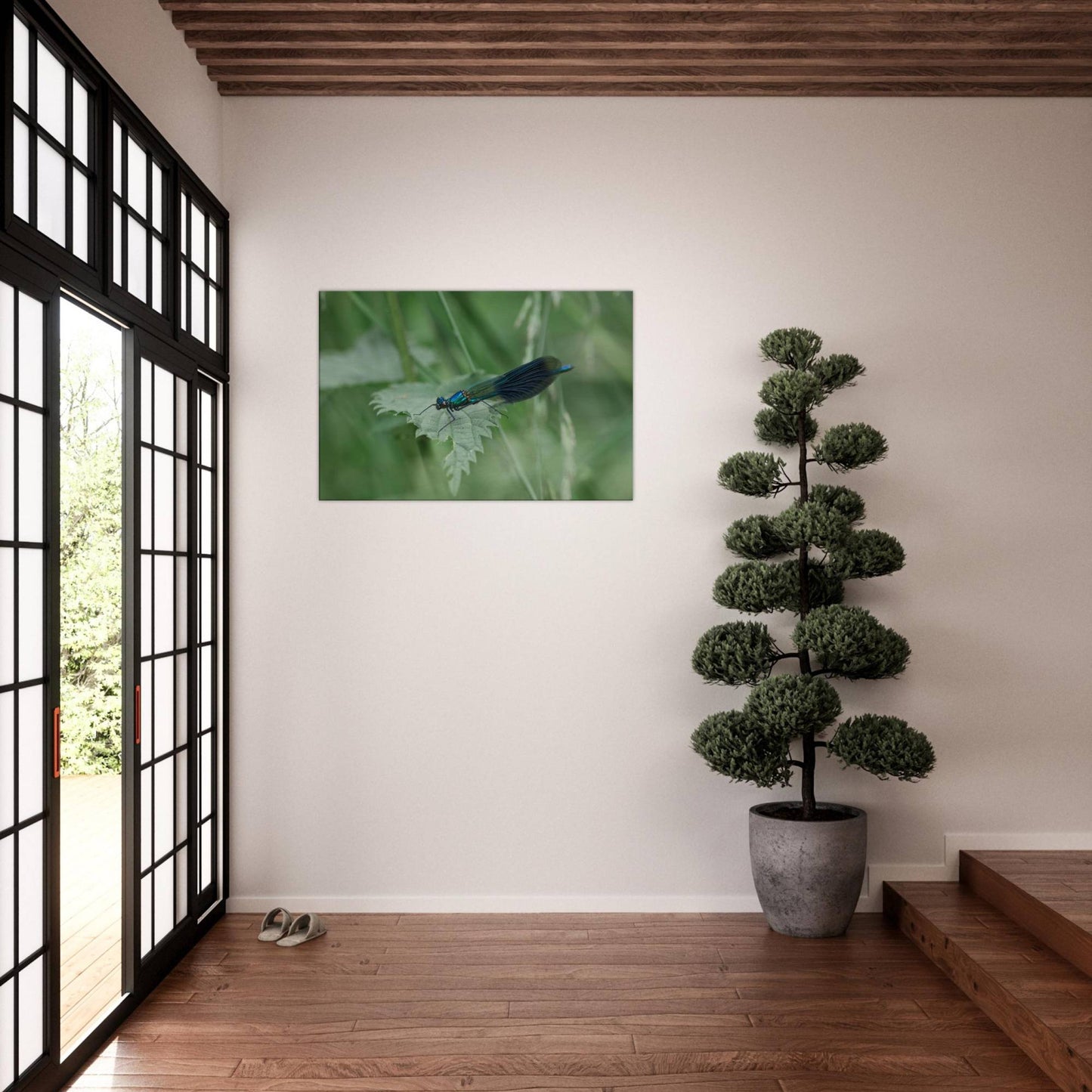 Noble Damselfly Resting