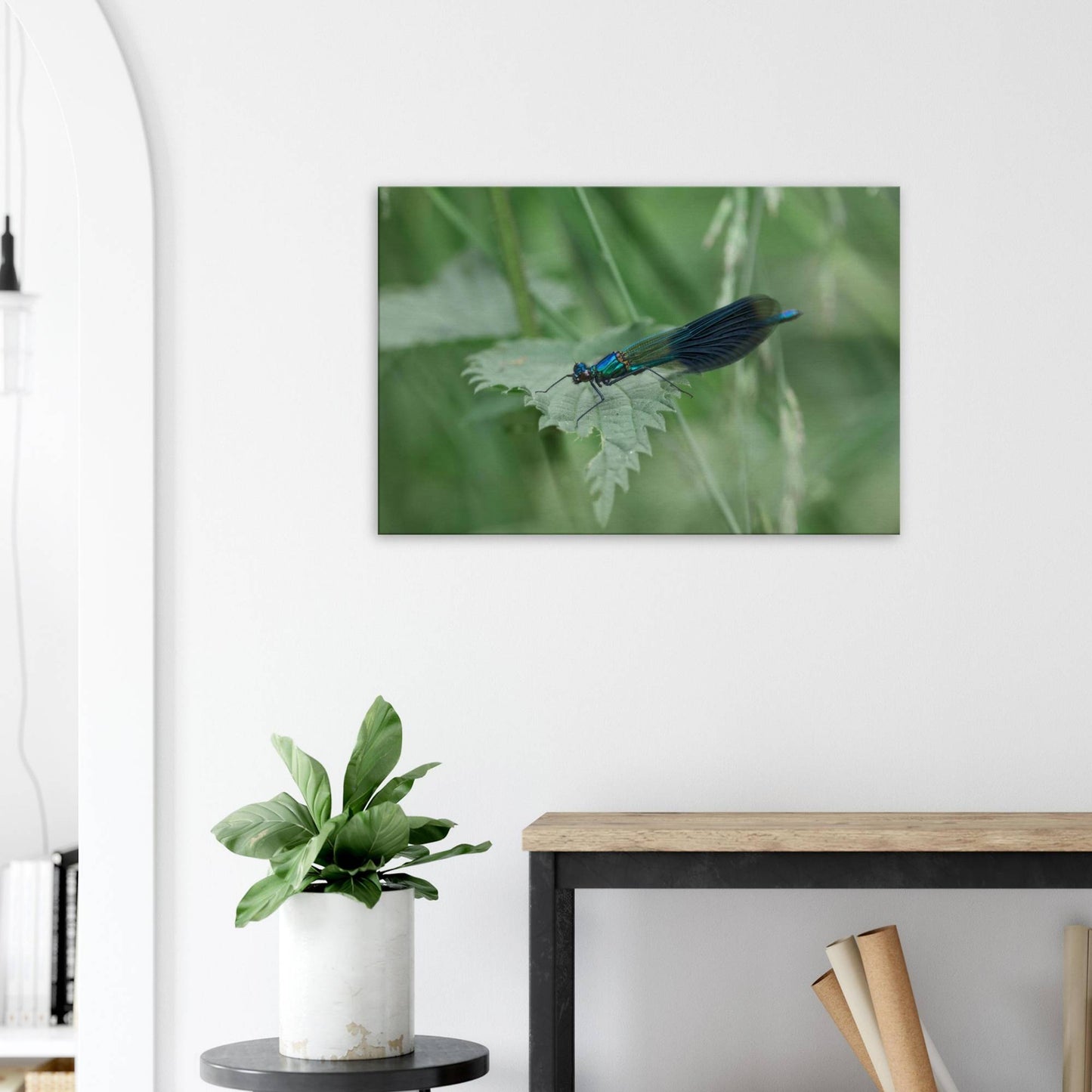 Noble Damselfly Resting
