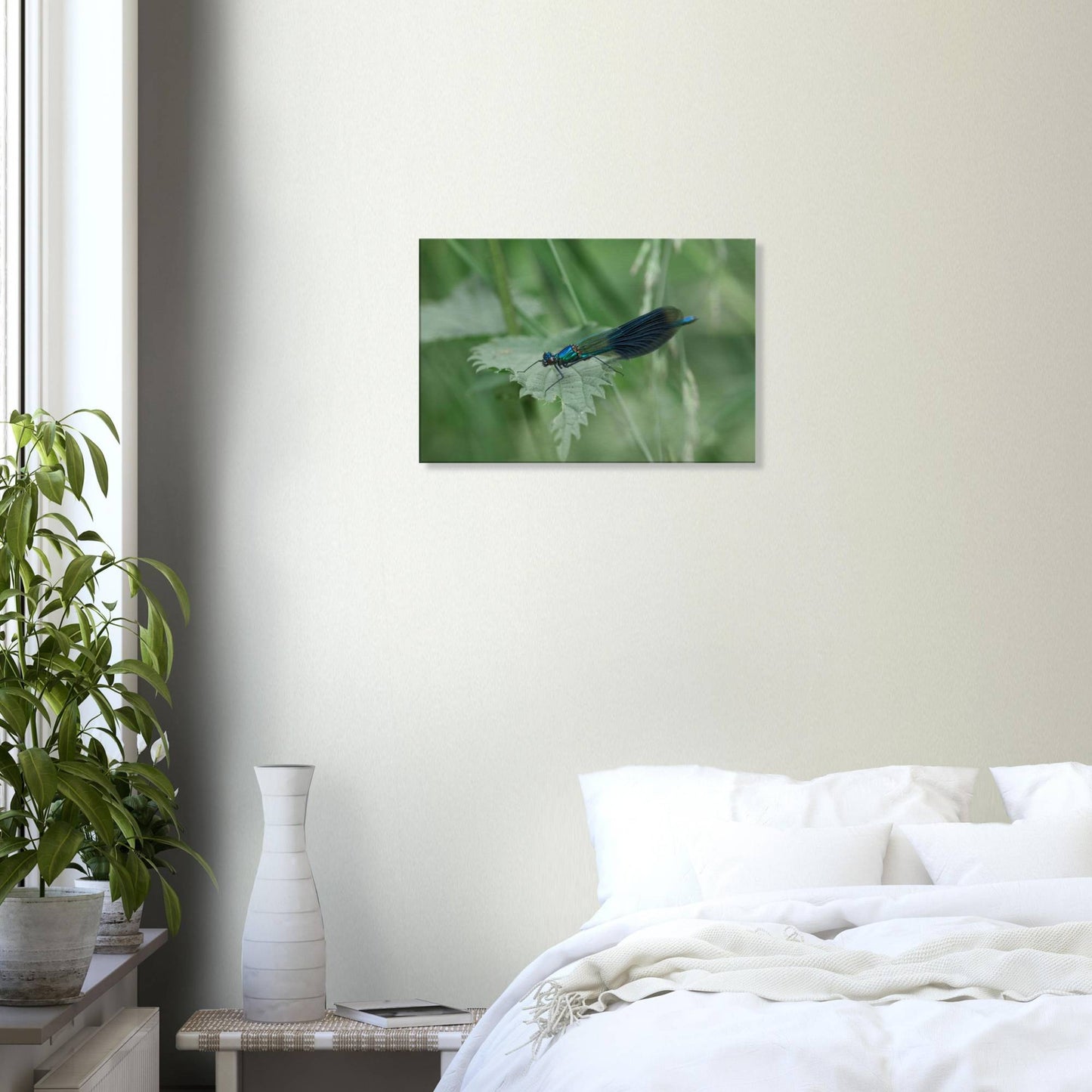 Noble Damselfly Resting