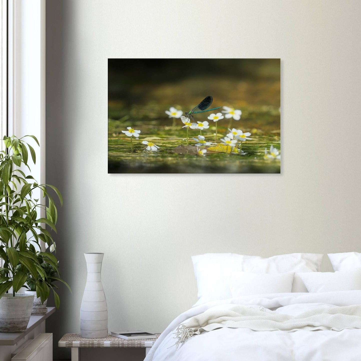 Wonderful Blossom