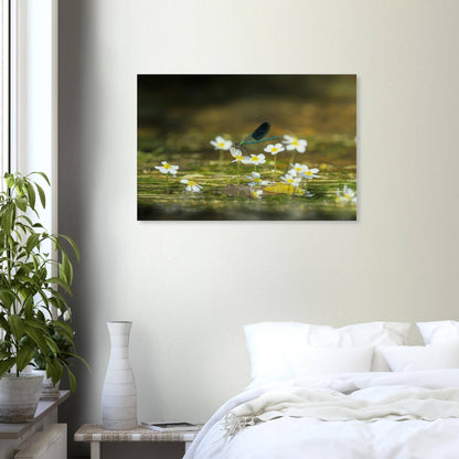 Wonderful Blossom
