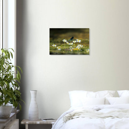 Wonderful Blossom