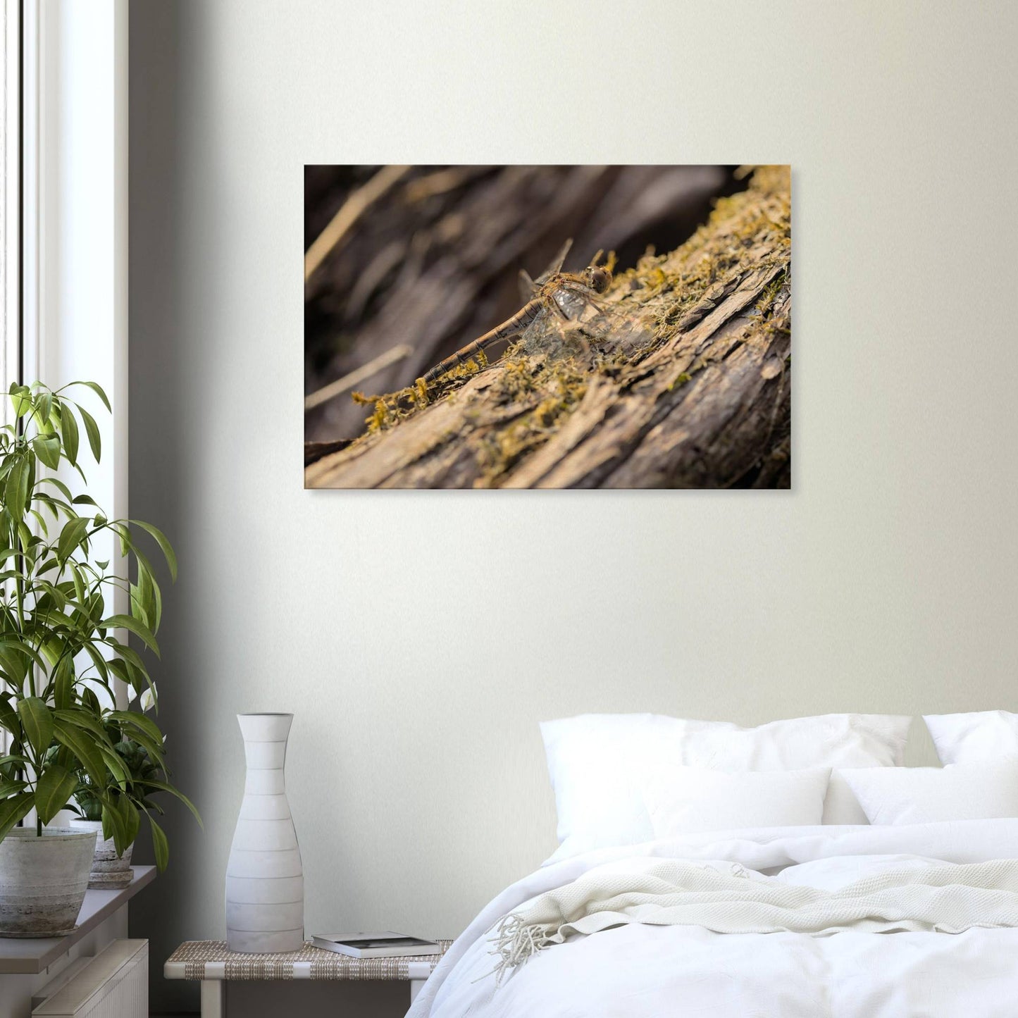 Dragonfly on the Wood