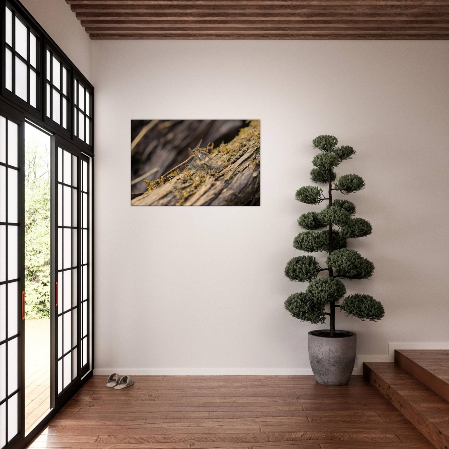 Dragonfly on the Wood