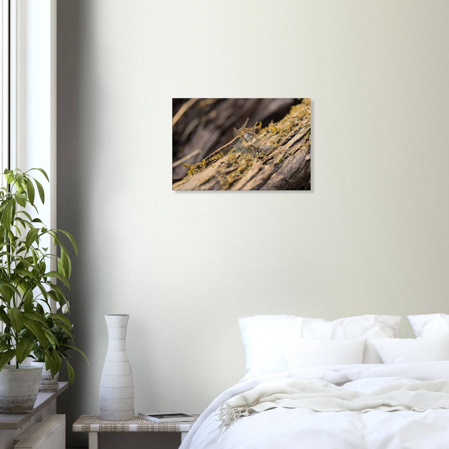 Dragonfly on the Wood