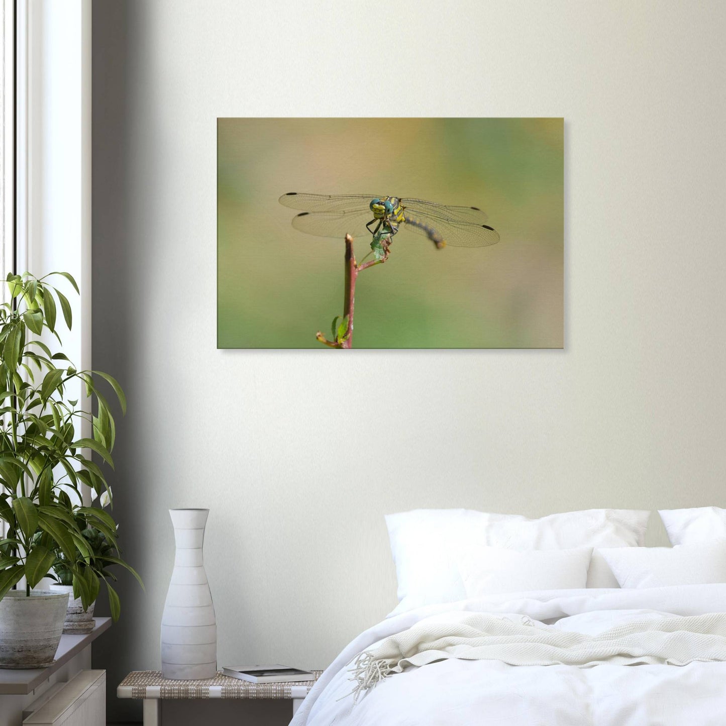 A Dragonfly's Portrait