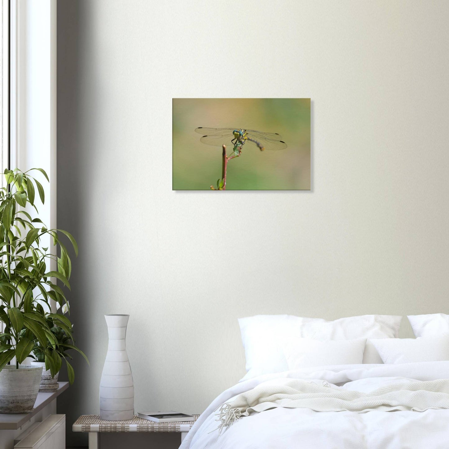 A Dragonfly's Portrait