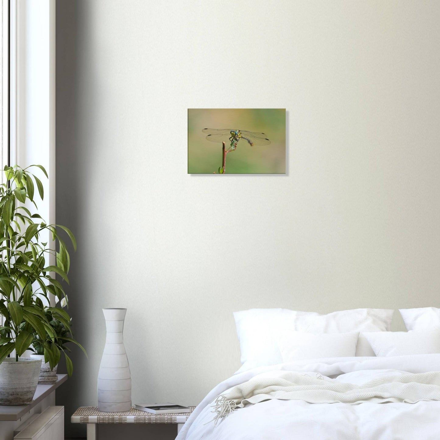 A Dragonfly's Portrait