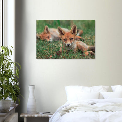 Family of Foxes