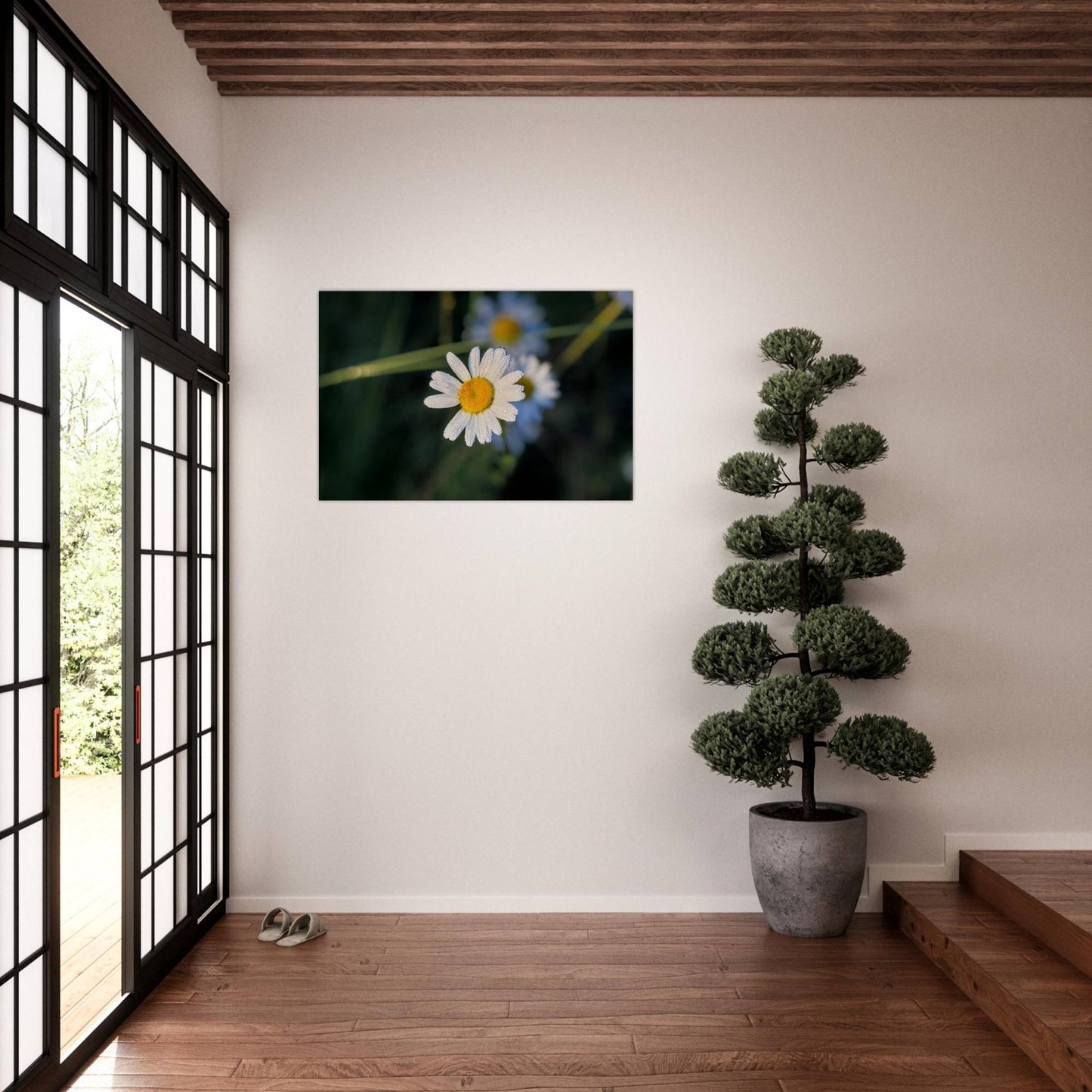 Daisy Stands Out