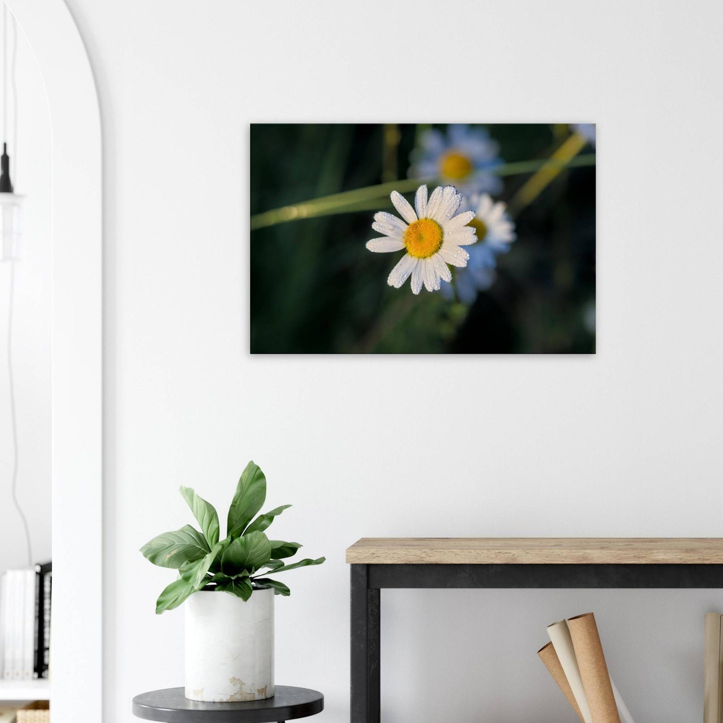 Daisy Stands Out