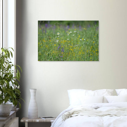 Flower Field