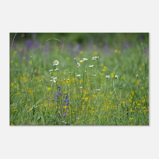 Flower Field