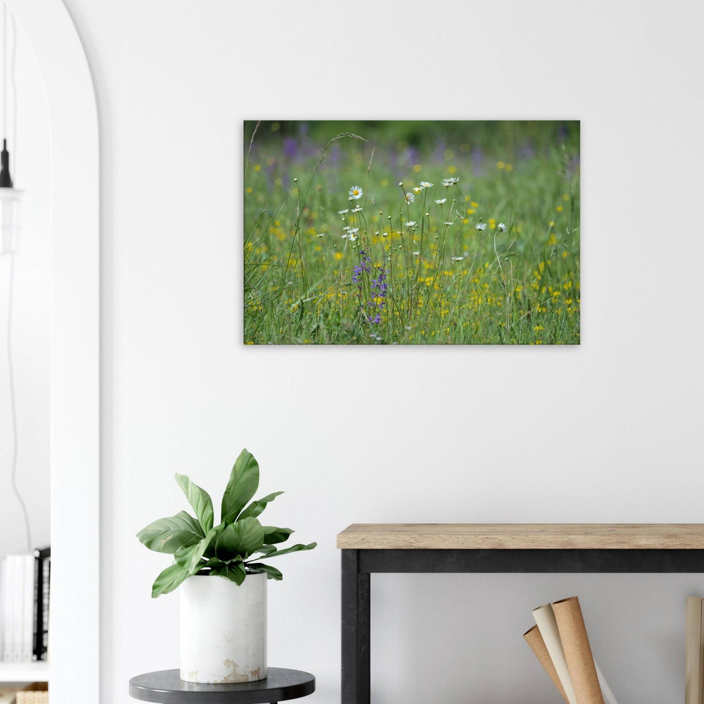 Flower Field
