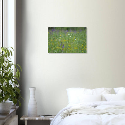 Flower Field