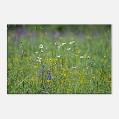 Flower Field