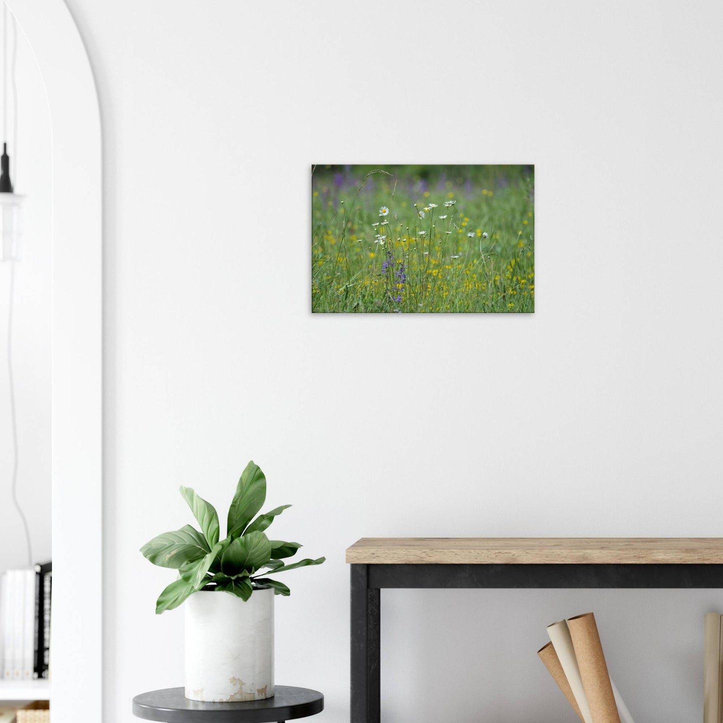Flower Field