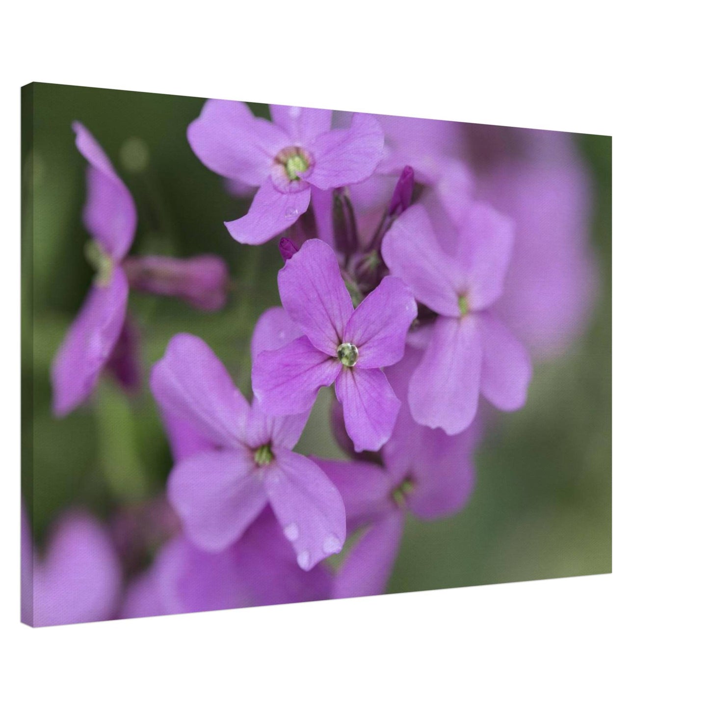 Jeweled Pink Flower