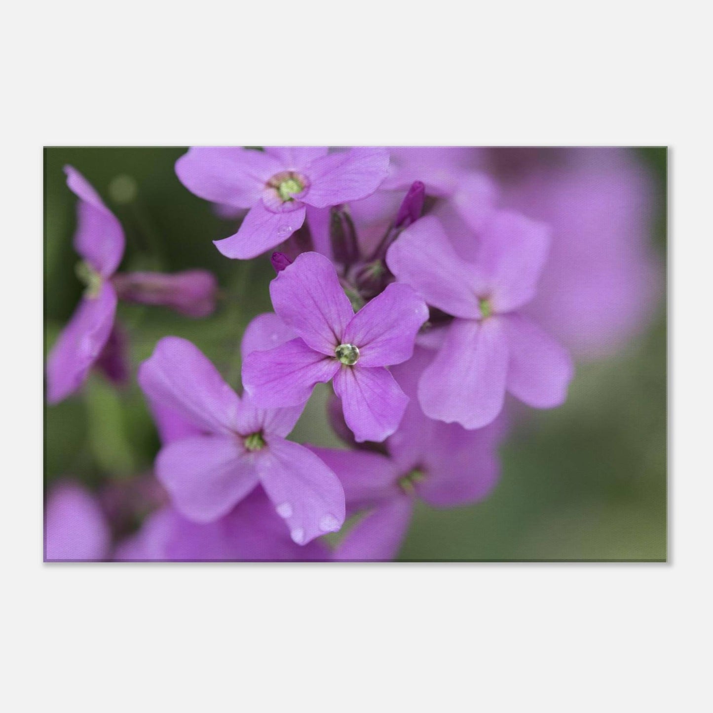 Jeweled Pink Flower