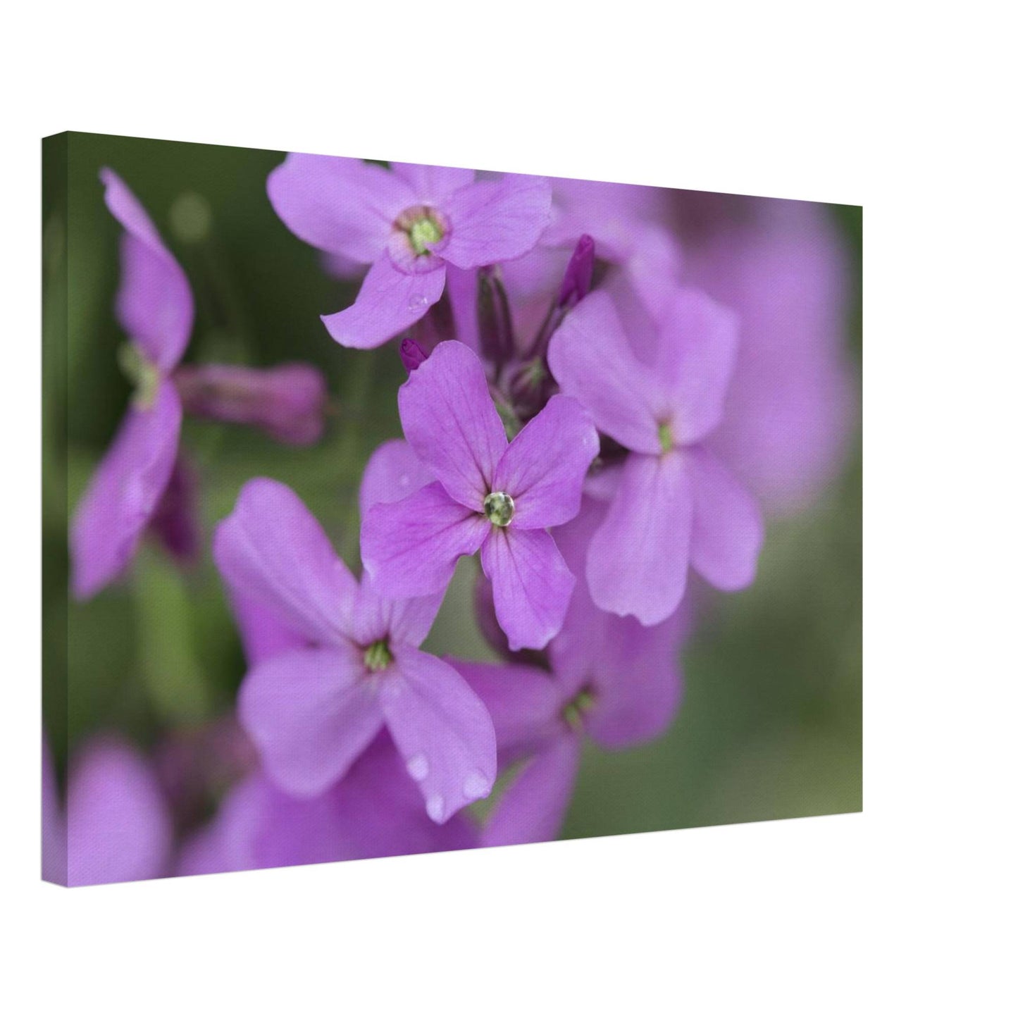 Jeweled Pink Flower