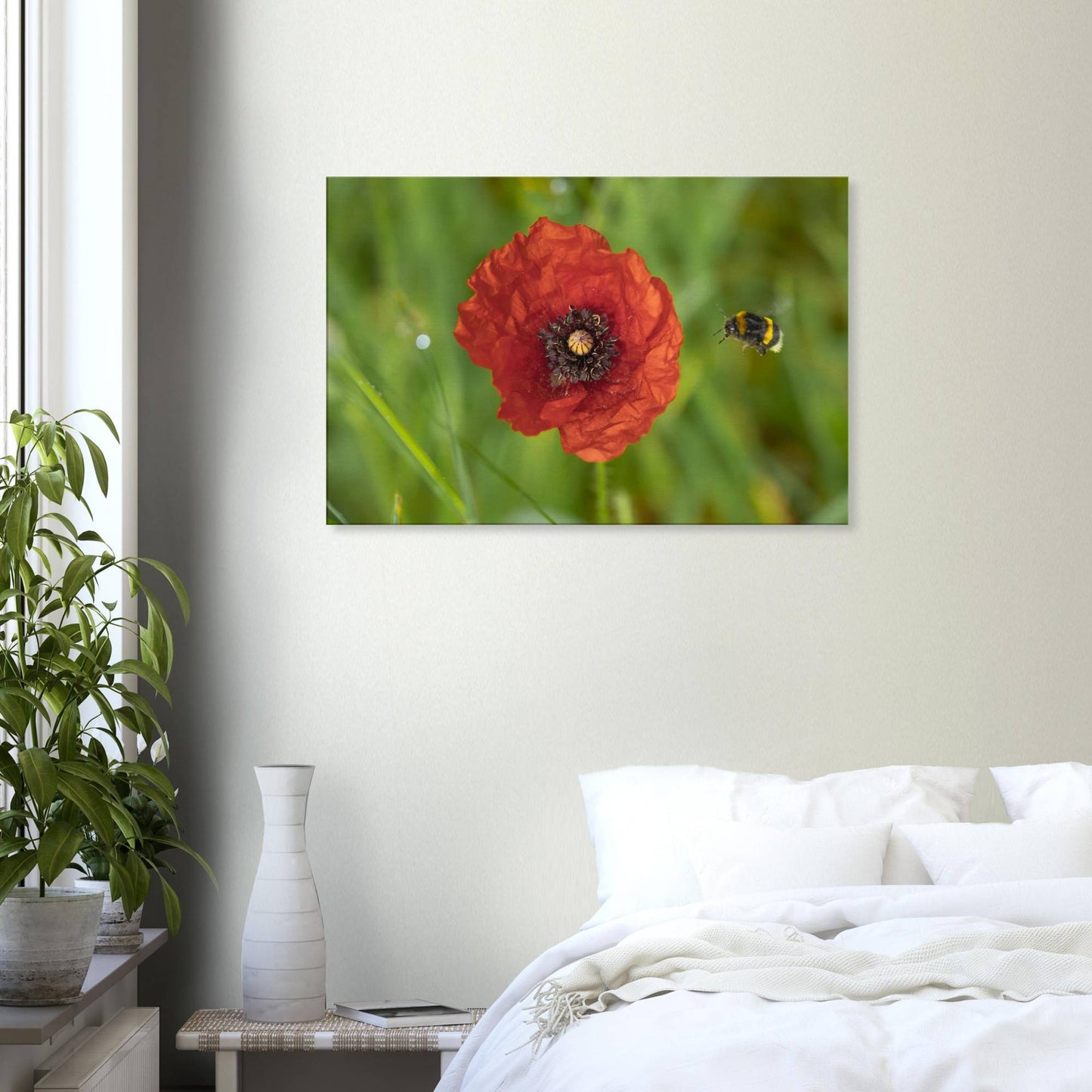 Hummingbees Welcome!