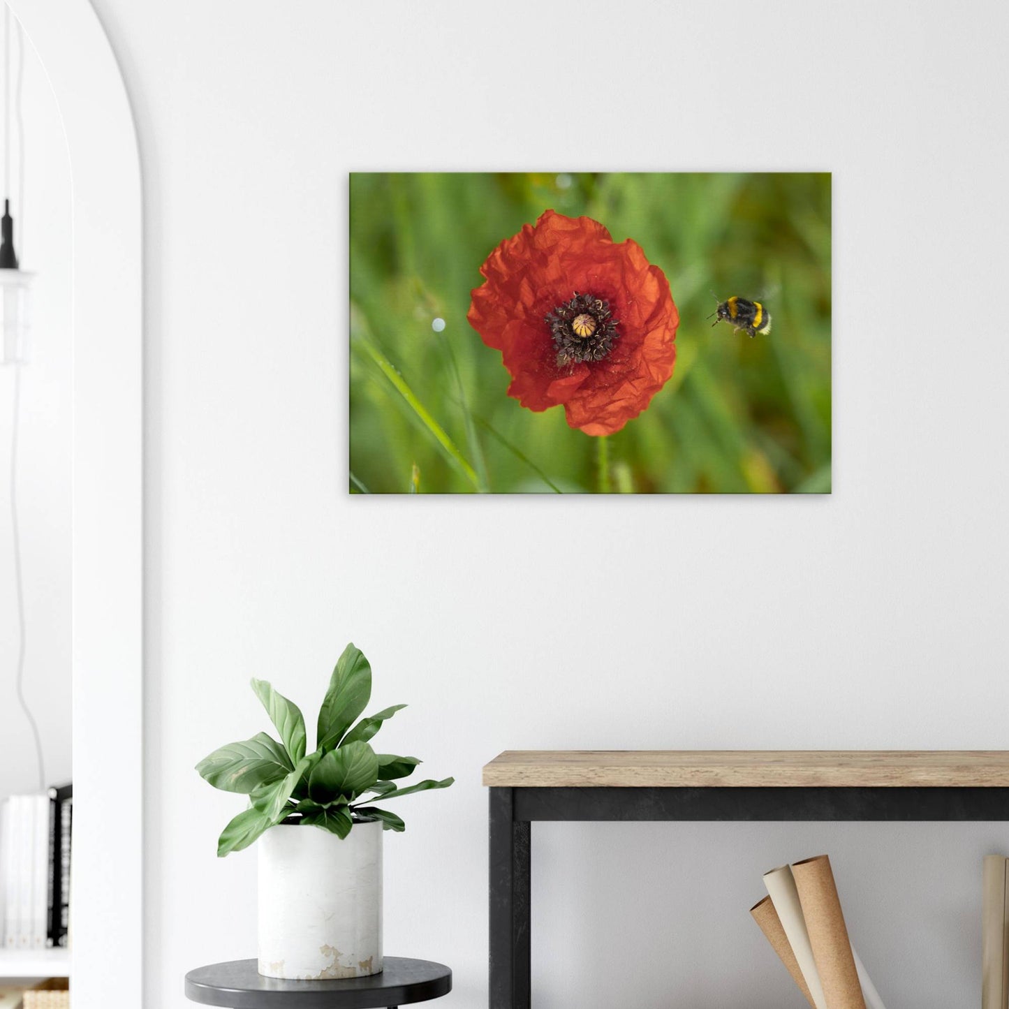 Hummingbees Welcome!