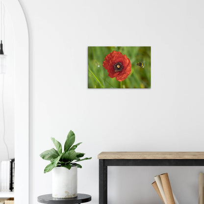 Hummingbees Welcome!