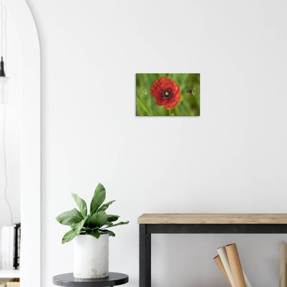 Hummingbees Welcome!