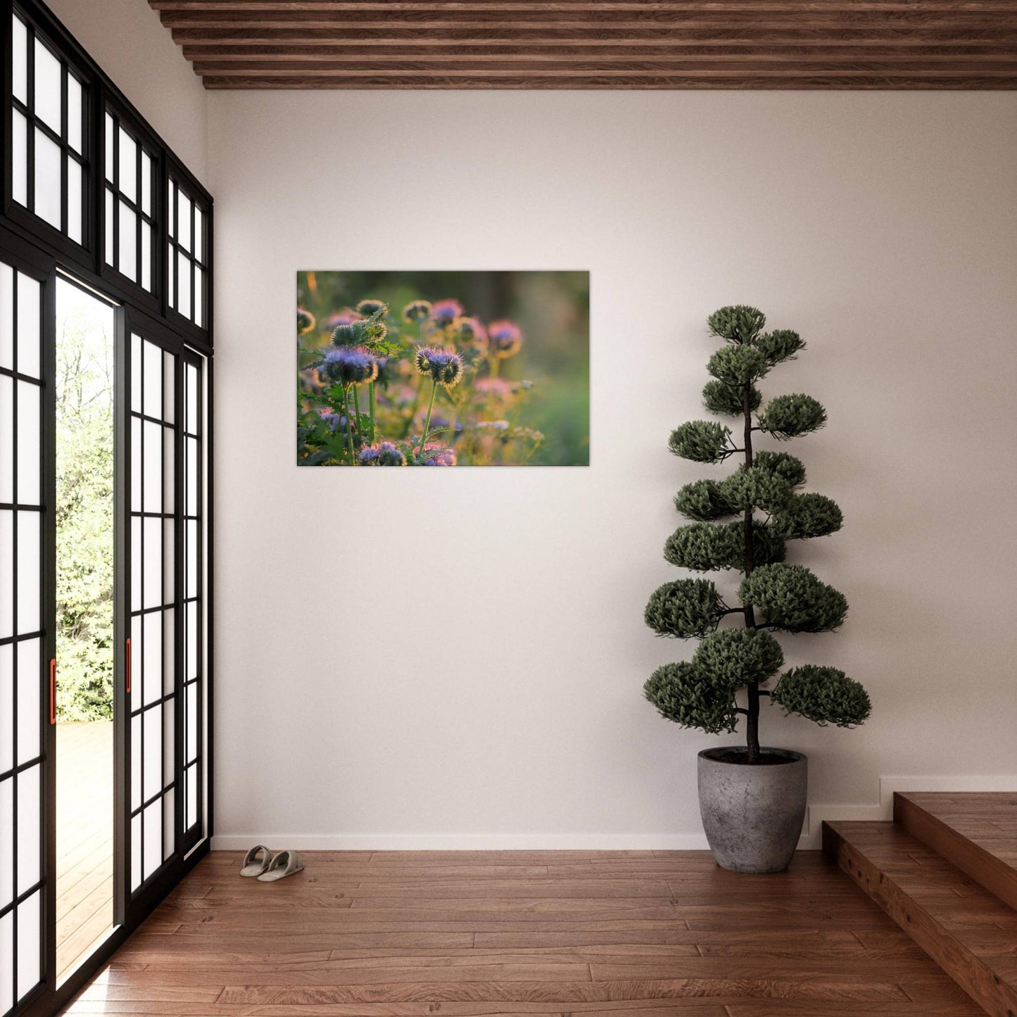 Phacelia's Happiness