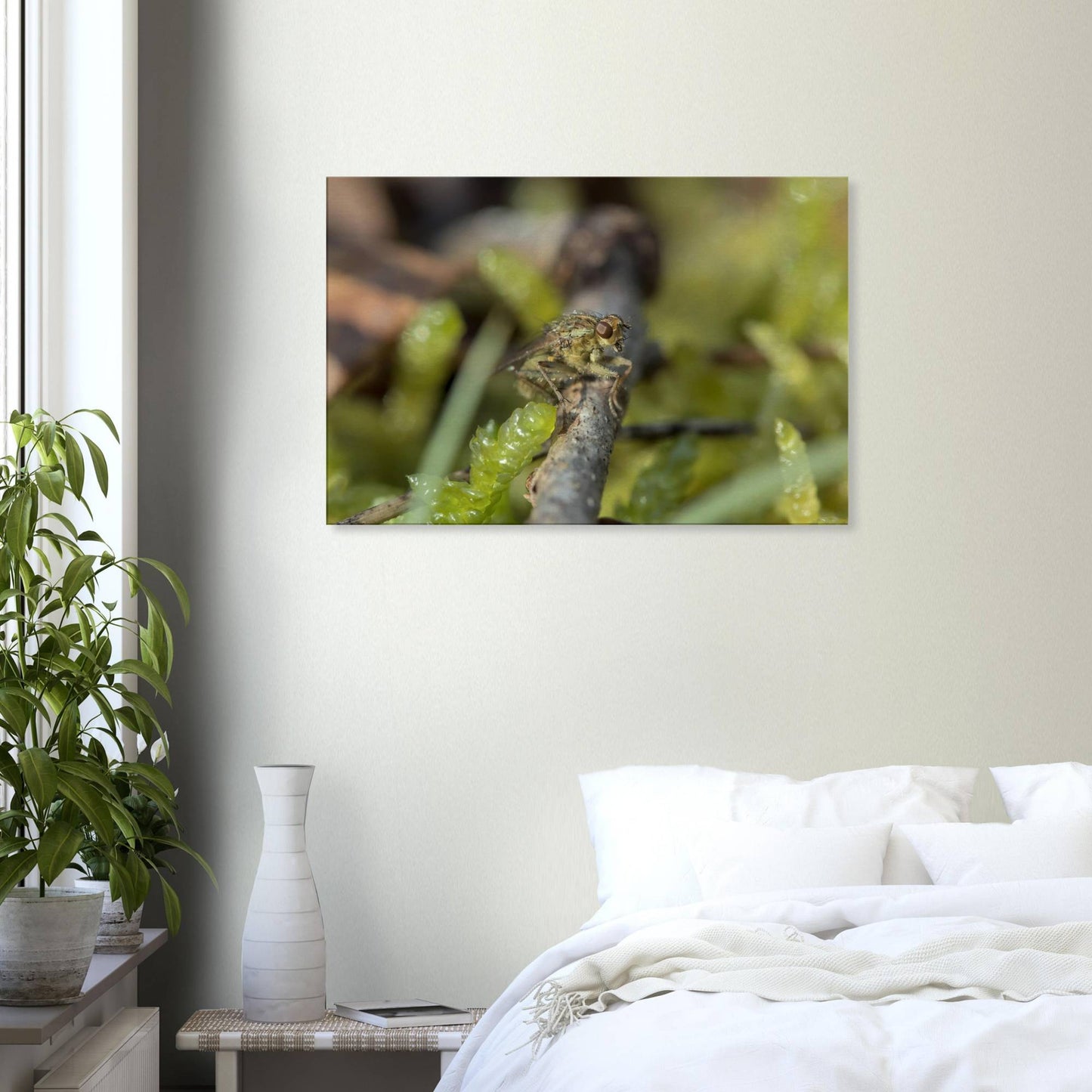 Fly at Rest