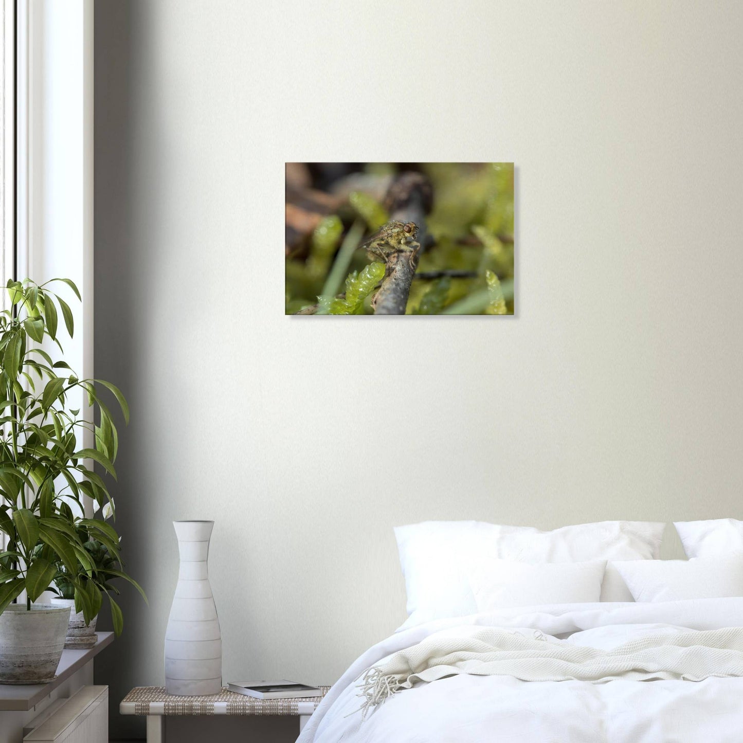 Fly at Rest
