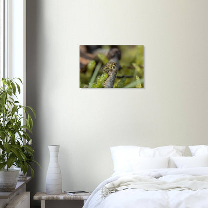 Fly at Rest