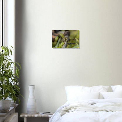 Fly at Rest