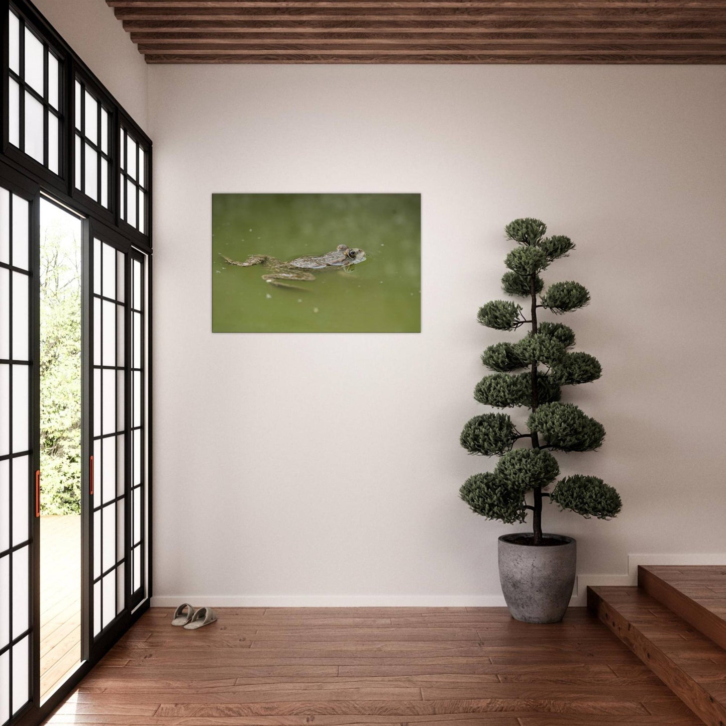 Floating Froggo