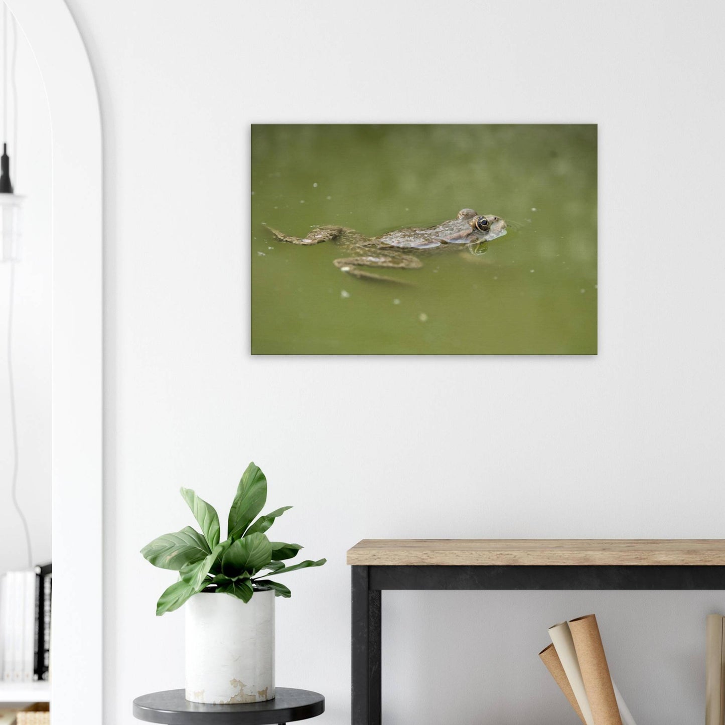 Floating Froggo