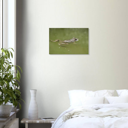 Floating Froggo