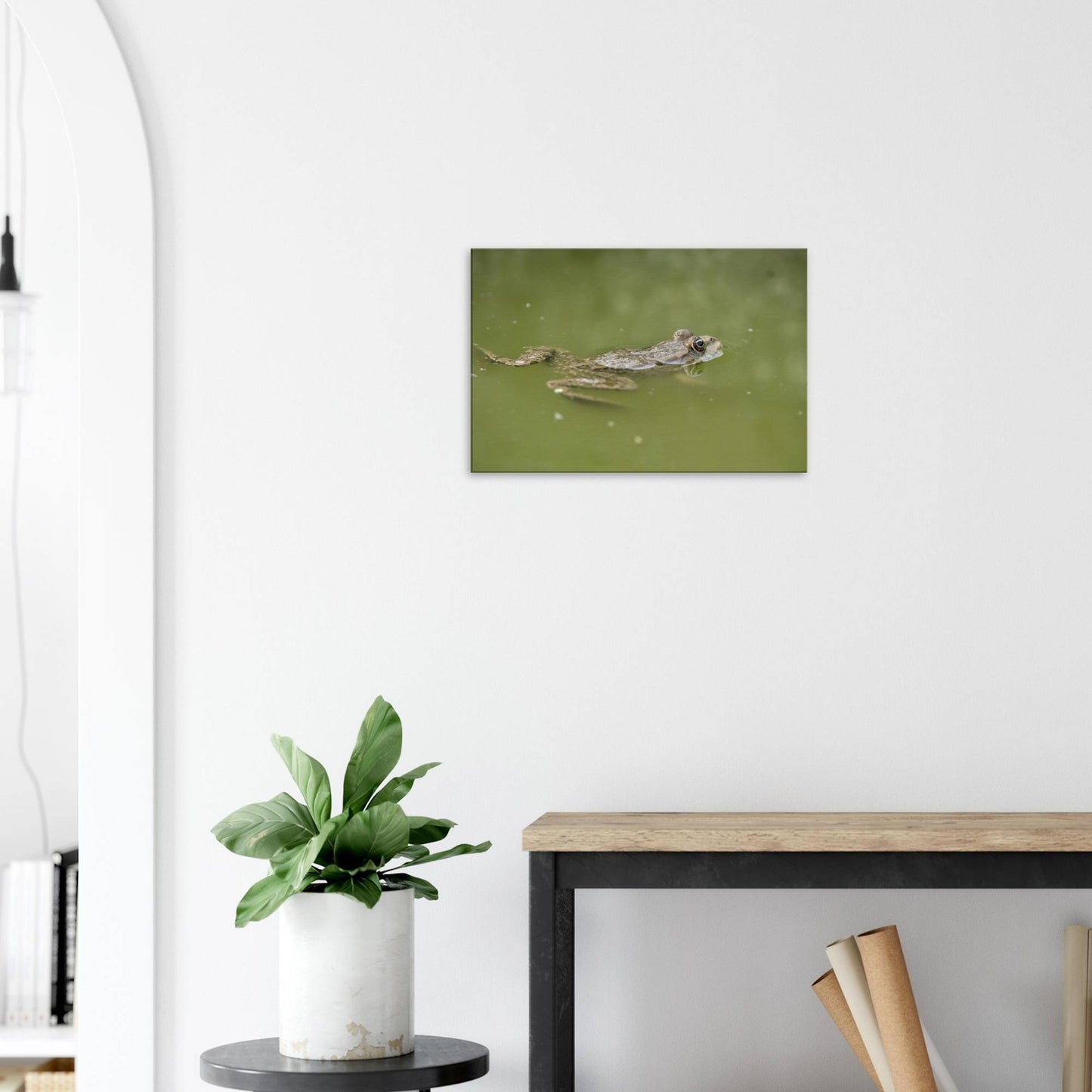 Floating Froggo
