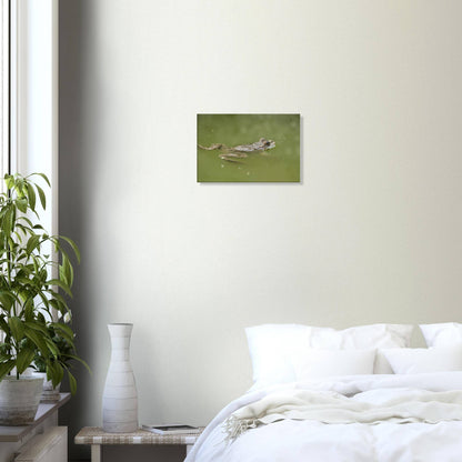 Floating Froggo