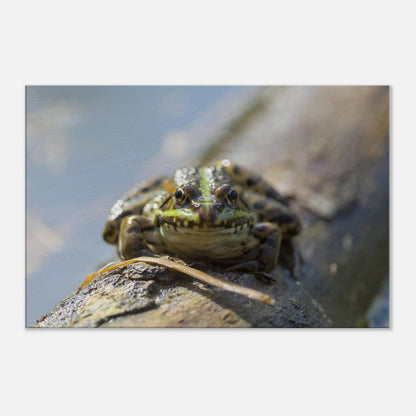 Awkward Frog
