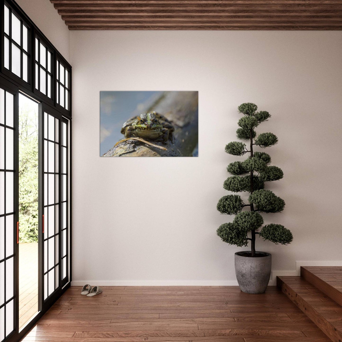 Awkward Frog