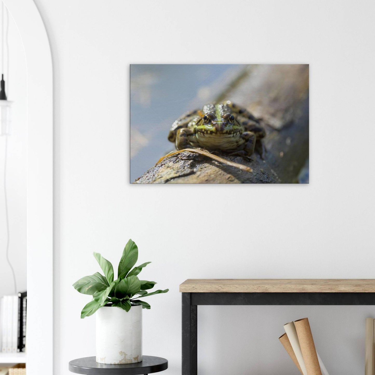 Awkward Frog